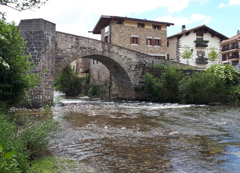 01 Puente de Zubiri, Navarra